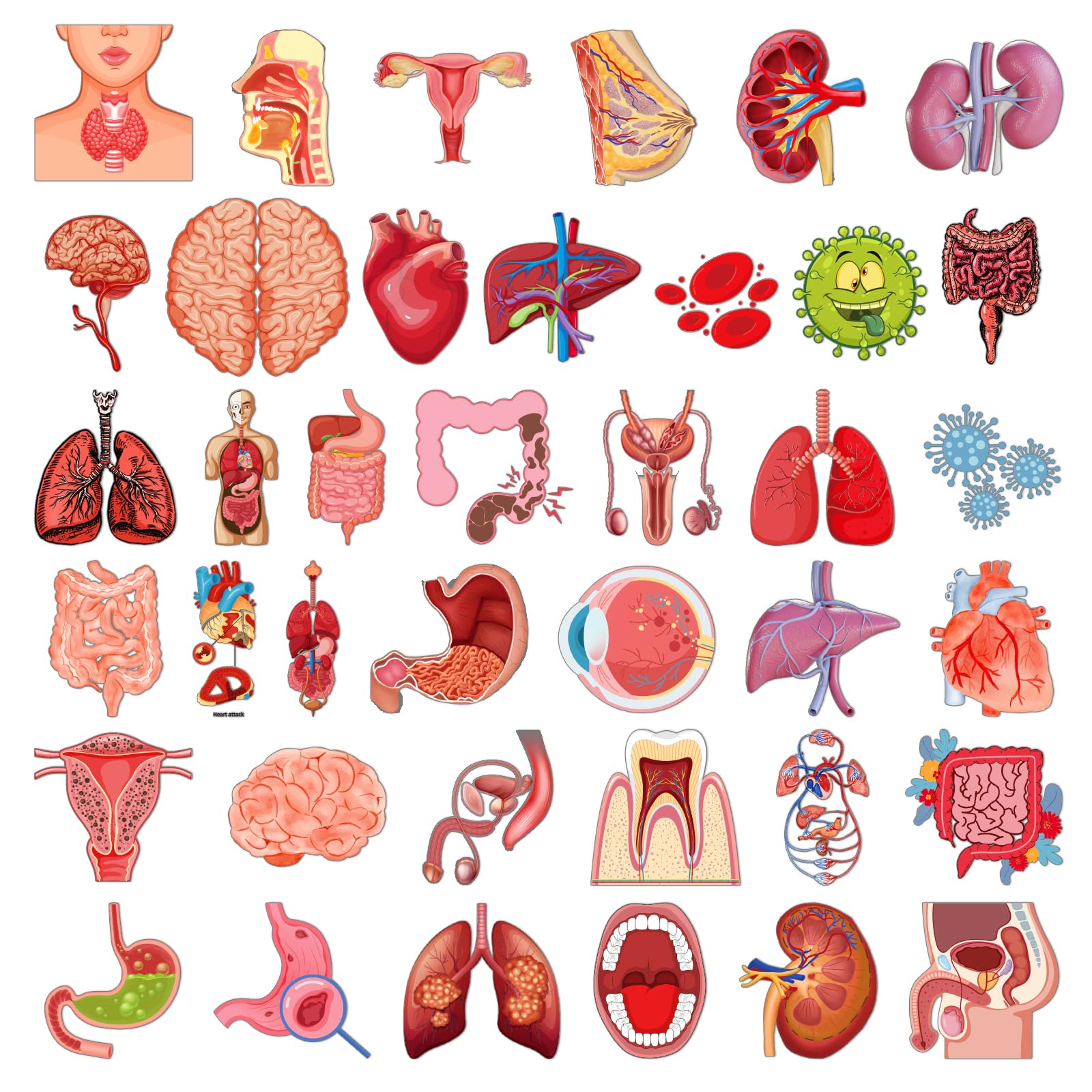 Funny Realistic Human Organs Stickers - 100 Pcs Biology Heart Skeleton Doctor Anatomy Bulk Stickers for Nurse Teacher, Cute Microbiology Decals for Water Bottle Journal Scrapbook Creative Decoration