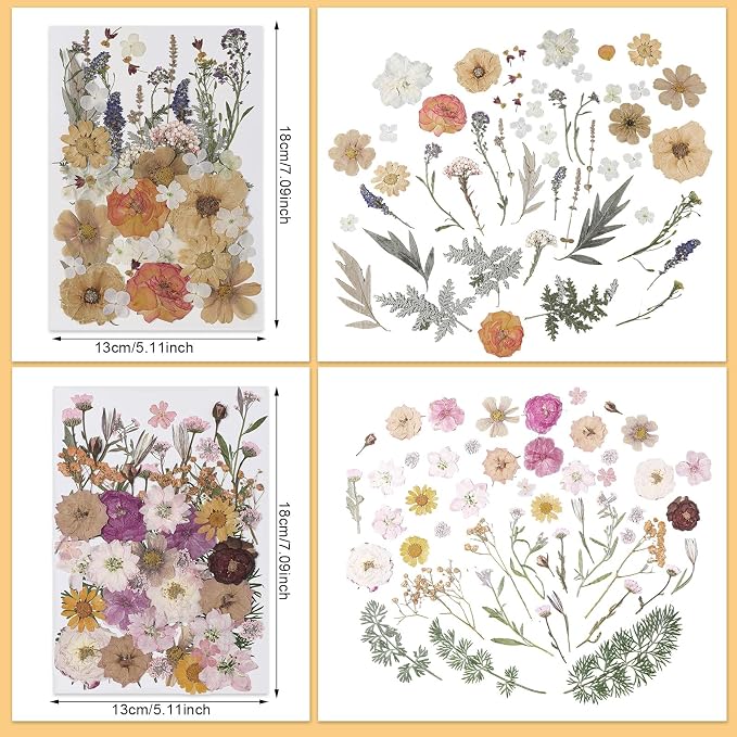 200 Flores Presionadas para Manualidades y Regalos miniatura 4