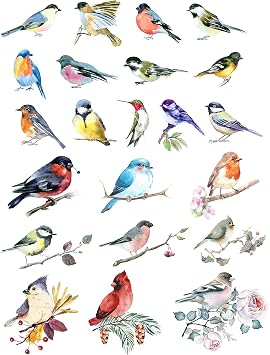 Ceramic Decals - Overglaze - Enamel Decal - Watercolor Birds