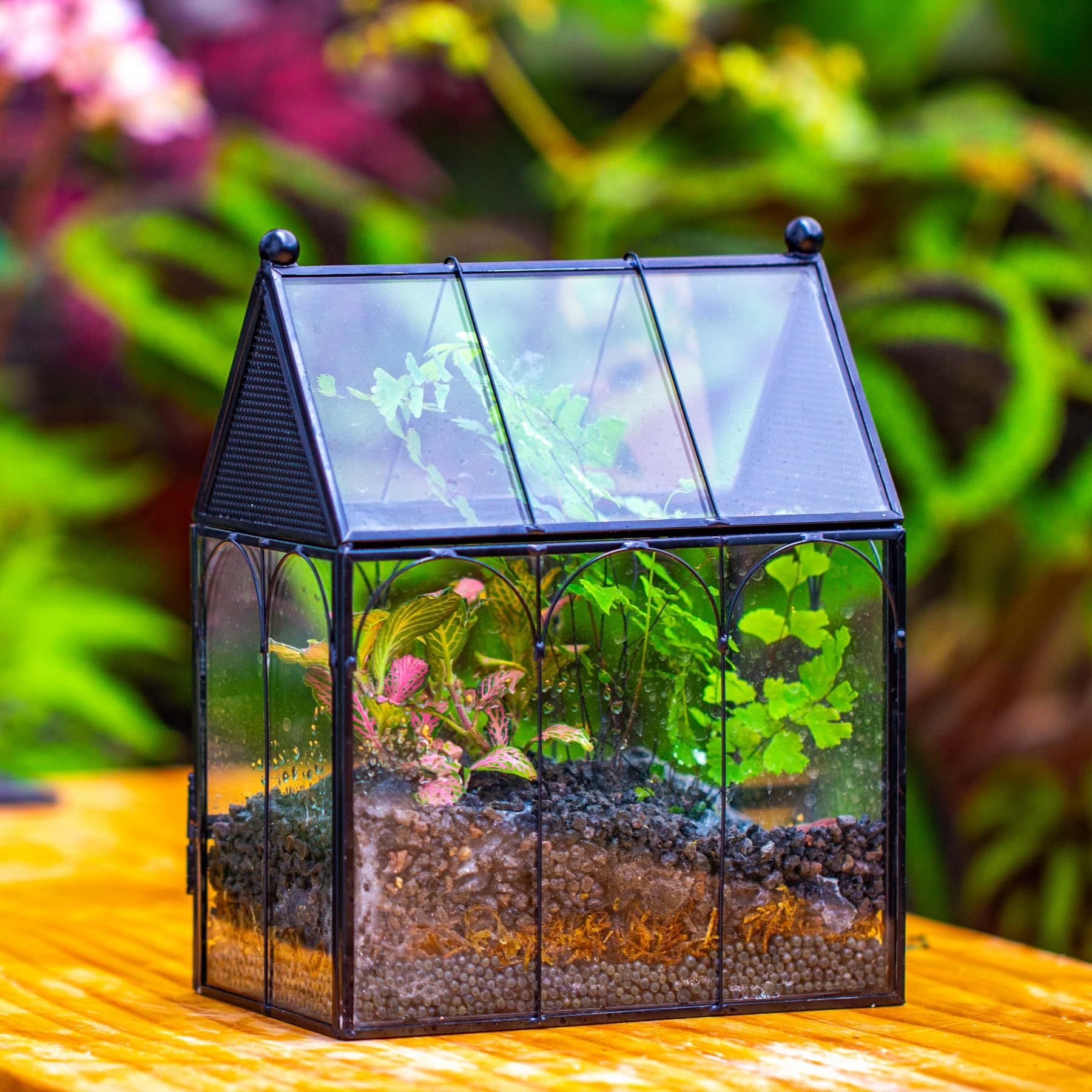 NCYP 14,7x9,6x17,8 cm Petit Enclos en Verre avec Maille pour Araignées, Insectes, Terrarium pour Plantes à Ouverture Frontale en Forme de Maison (Plantes et Accessoires Non Inclus)