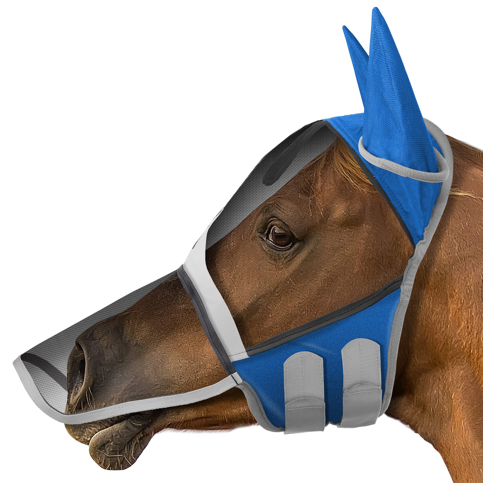 SmithBuilt COMFORT Fliegenmaske mit Ohren und Langnase für Pferde (Blau, Cob) - Fleece-Polsterung, feinmaschig, UV-Schutz