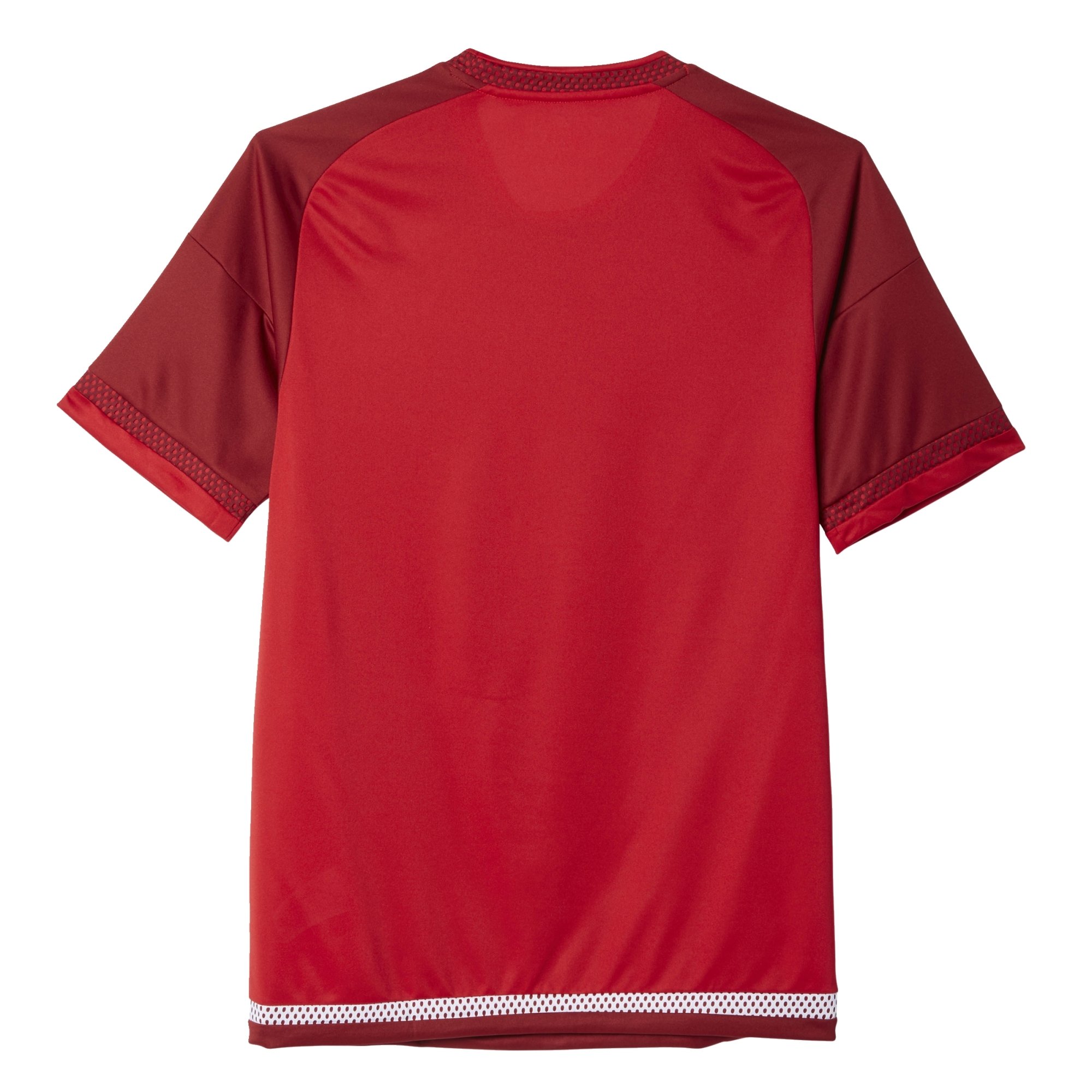adidas campeon 15 jersey