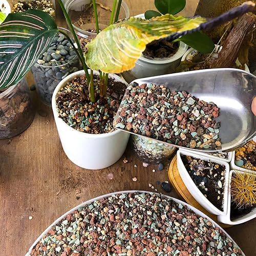 Miniatura 35 de Mezcla de rocas de lava de 18 libras para plantas en puerta, guijarros de grava para bonsái suculentos y rellenos de jarrones, jardinería de hadas