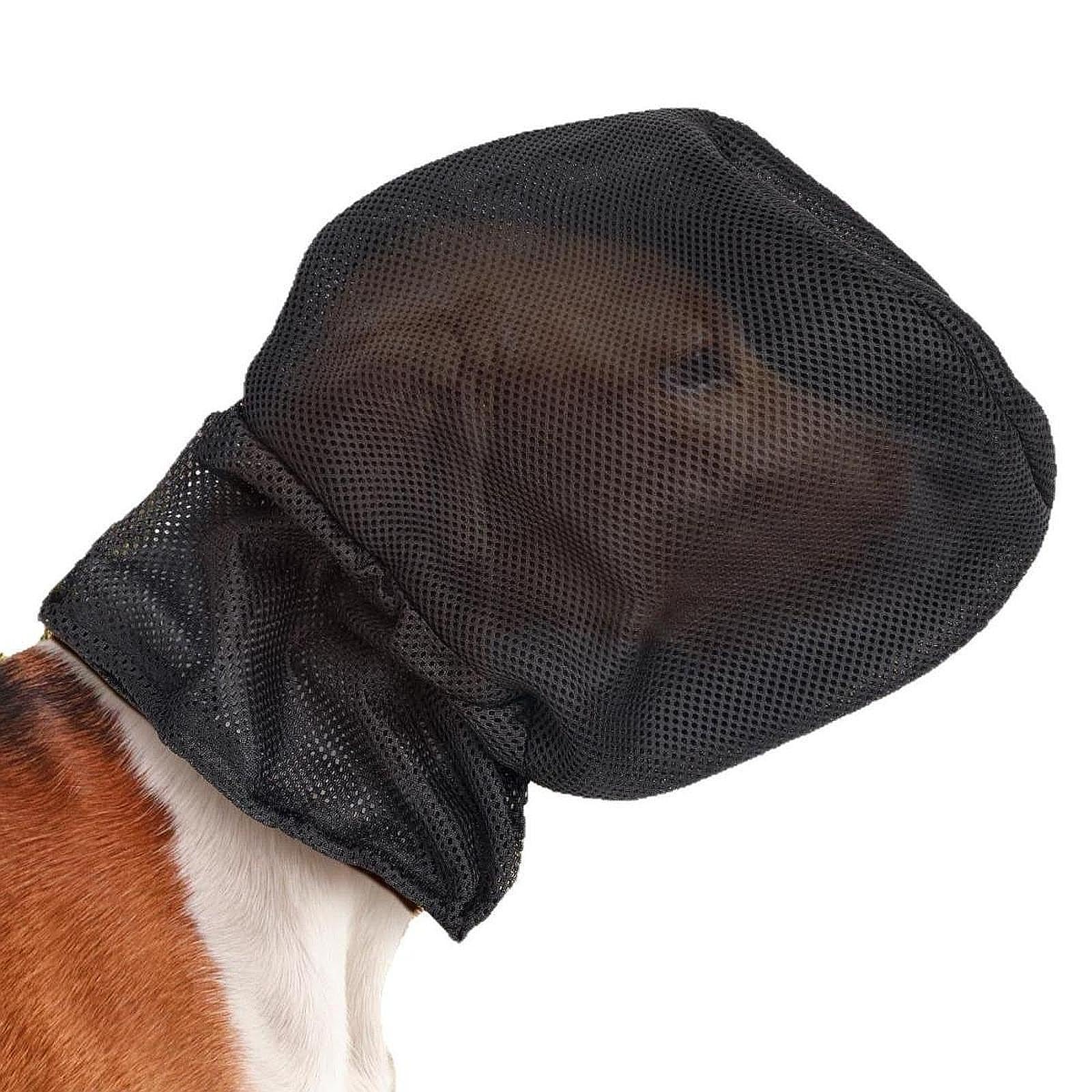 Colcolo Masque de chien, garde de filet en maille, empêchez les épines bâtons rochers du visage de chien de protection pour chiens de protection de chien pour, M