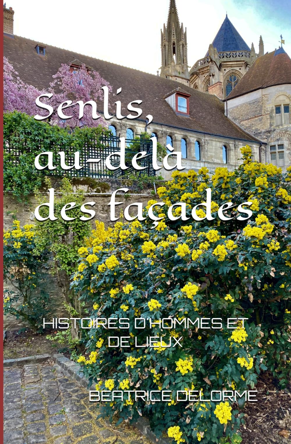 Senlis, au-delà des facades: histoires d'hommes er de lieux