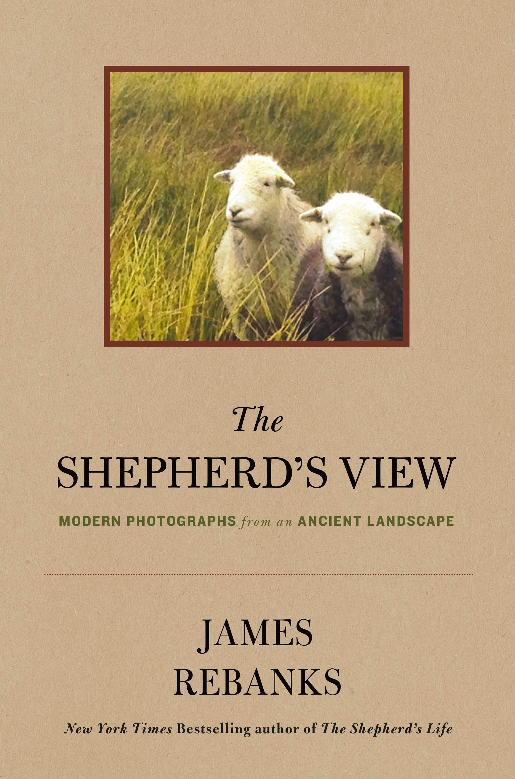 The Shepherd's View poésie d'un paysage ancien à travers le regard moderne du berger en livre