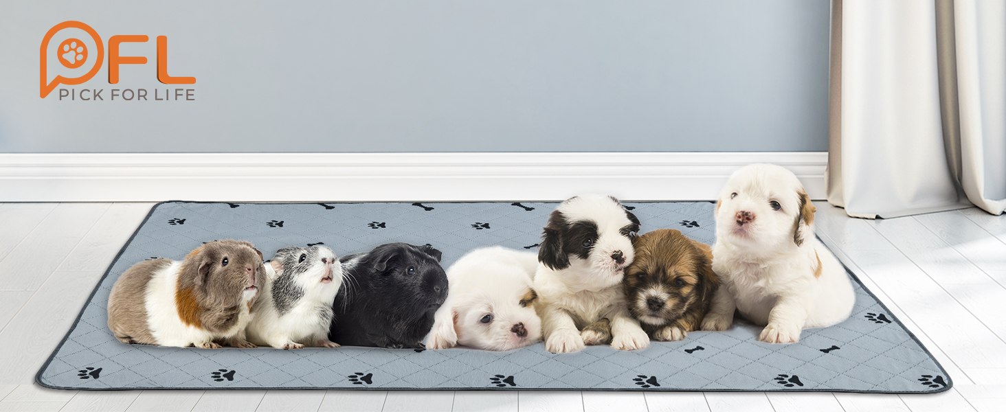 PICK FOR LIFE Pipi Pads Für Meerschweinchen - Waschbare Fleece Unterlagen 4er Set