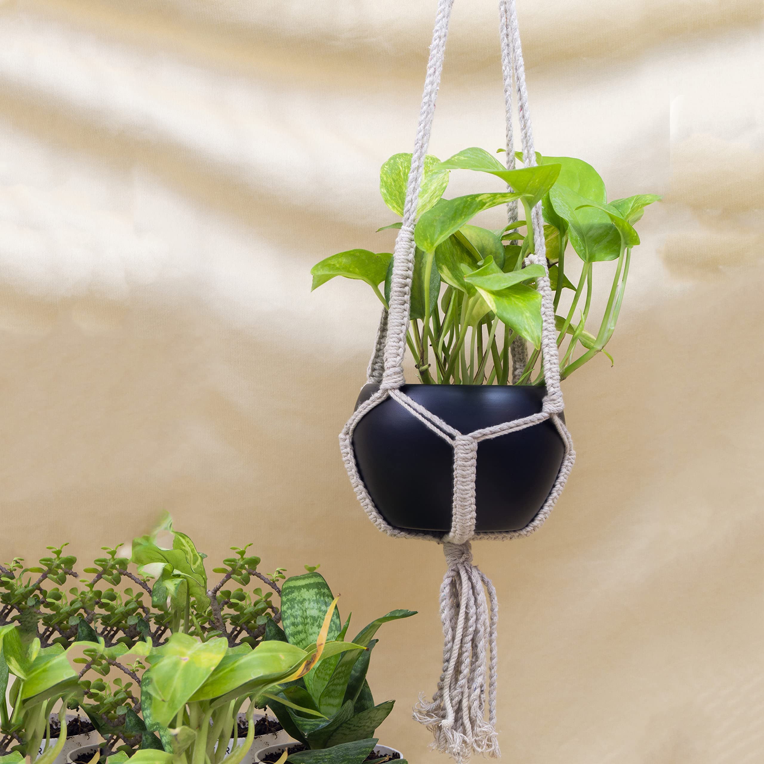 KYARI Cotton Macrame Contemporary Plant Hanger Indoor Outdoor Hanging with Planter Basket - Black Pot (B09STW4FCD) Amazon Price History, Amazon Price Tracker