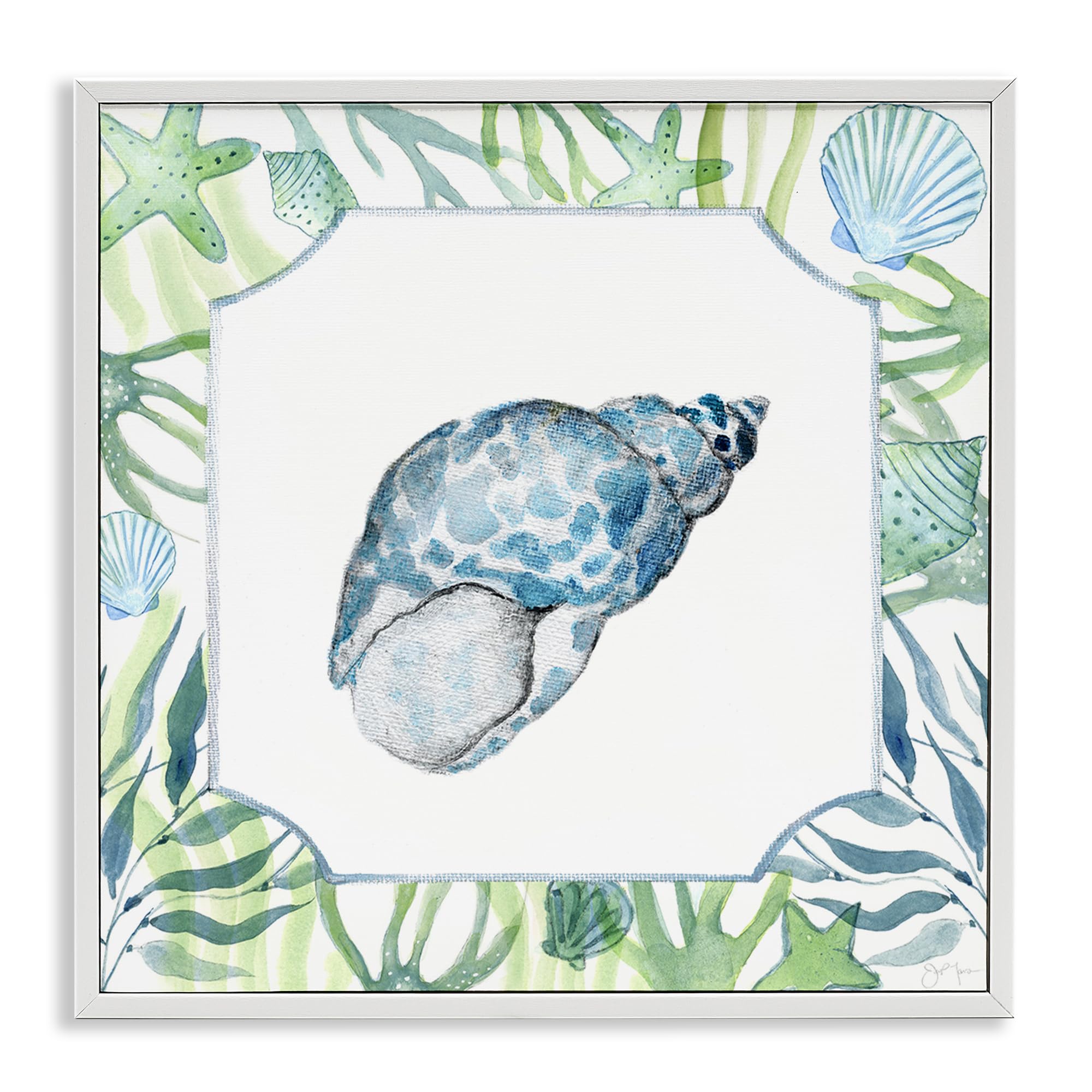 Stupell Industries Coastal White (Textured) 'Spotted Cowrie With Seaweed'| Framed Giclee Art