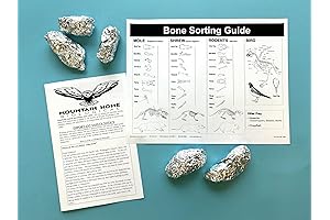 Jumbo Owl Pellets for Owl Poop Detectives