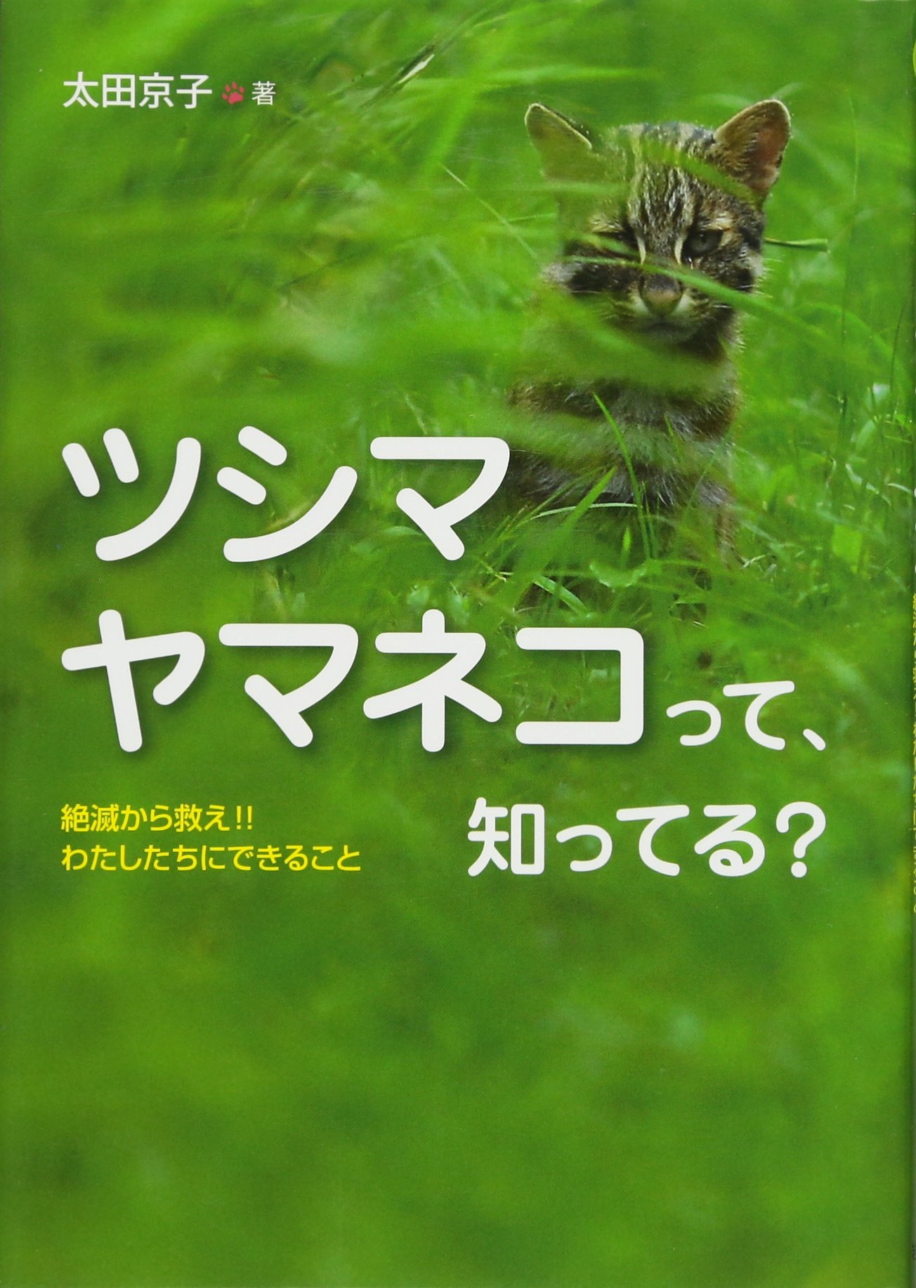【中古】 ツシマヤマネコのひみつを追え！ まっちゃんのヤマネコノート/汐文社/大塚菜生 中古】 ツシマヤマネコのひみつを追え！ まっちゃんのヤマネコ