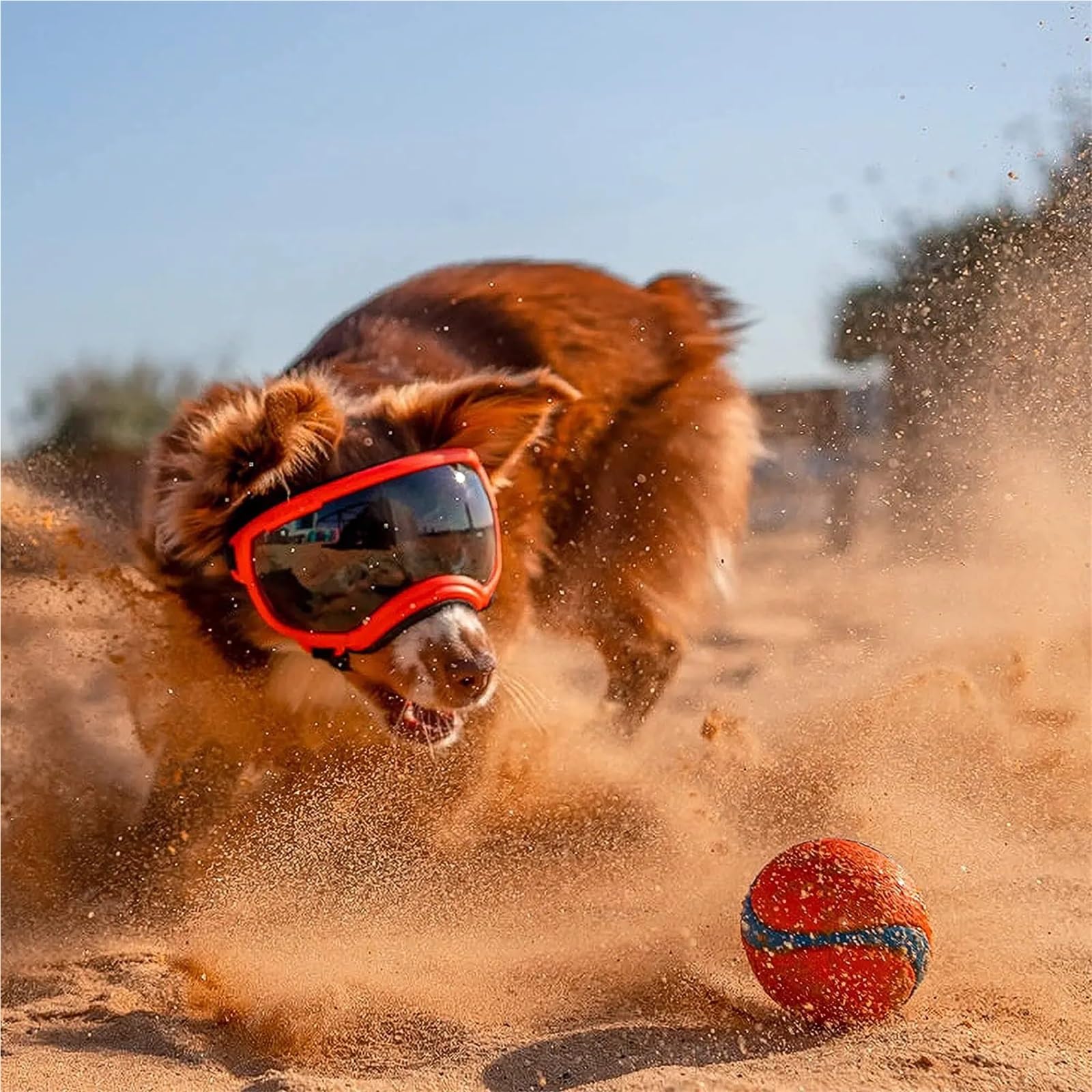 Hundebrille,Hundebrille FüR Kleine Hunde Hundebrille, Anti-UV, Starke Schlagfestigkeit, verstellbare, elastische, atmungsaktive Haustier-Sonnenbrille(Blue and Silver,S)