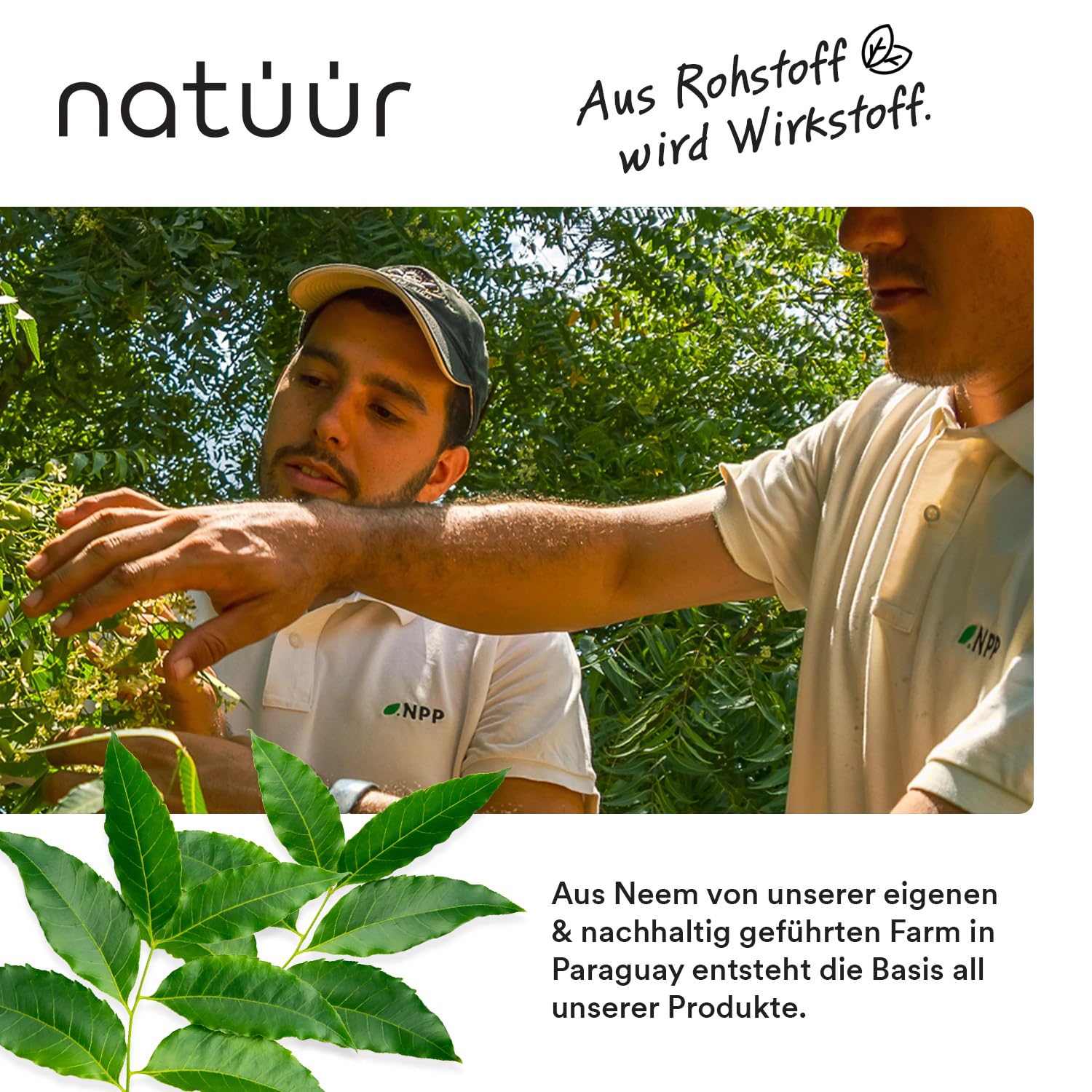 Cream forte | Reichhaltige Feuchtigkeitscreme für sehr trockene & empfindliche Haut | Gesichtscreme & Körpercreme | Mit Neem-Extrakt & NEEMAVERA® | Intensive Hautpflege | Moisturizer