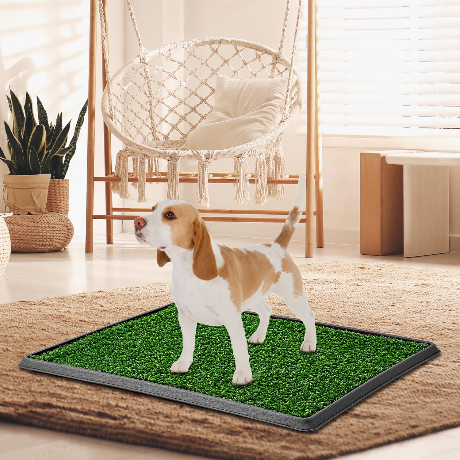QWORK® Toilette Chien en Gazon synthétique 50x60 cm, pour Petits et Moyens Chiens