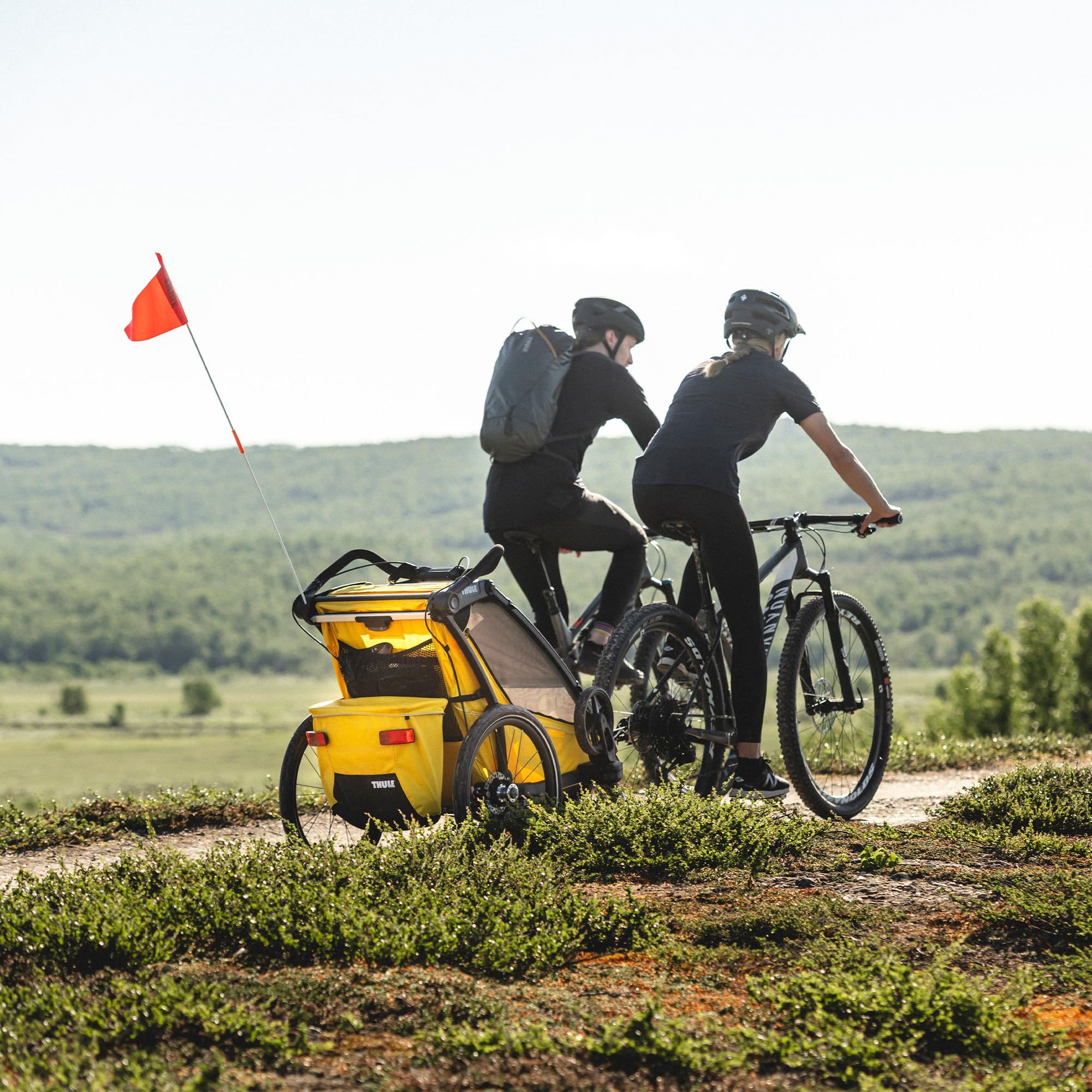 Thule Chariot Sport Rimorchio Per Bici Multisportivo
