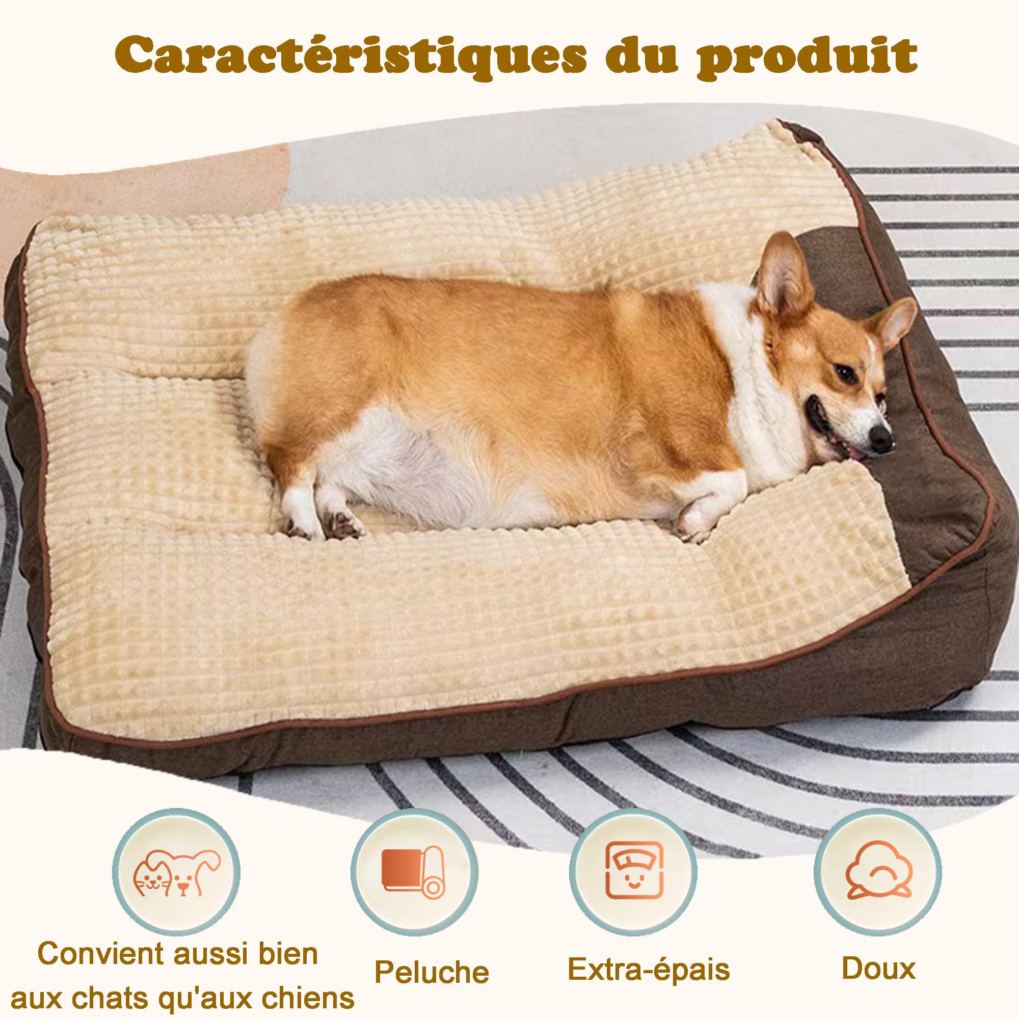 Grande Taille Lit pour Chien Tapis pour Chiens Coussin Animaux | 100x75x21cm, Moelleux Animaux Peluche, Moyen Taille Epais Panier, Dehoussable, Lavable, Base antidérapante