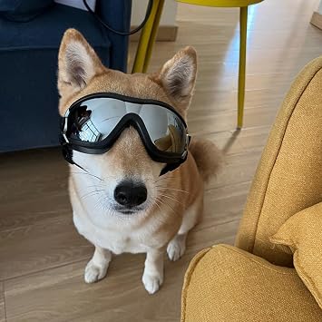Dog Sunglasses for Large and Medium Breed, Dog Goggles for Large Dogs, Sun Protection, Windproof, Waterproof, Dustproof and Anti-Fog with Adjustable Strap for Driving, Motorcycle, Black