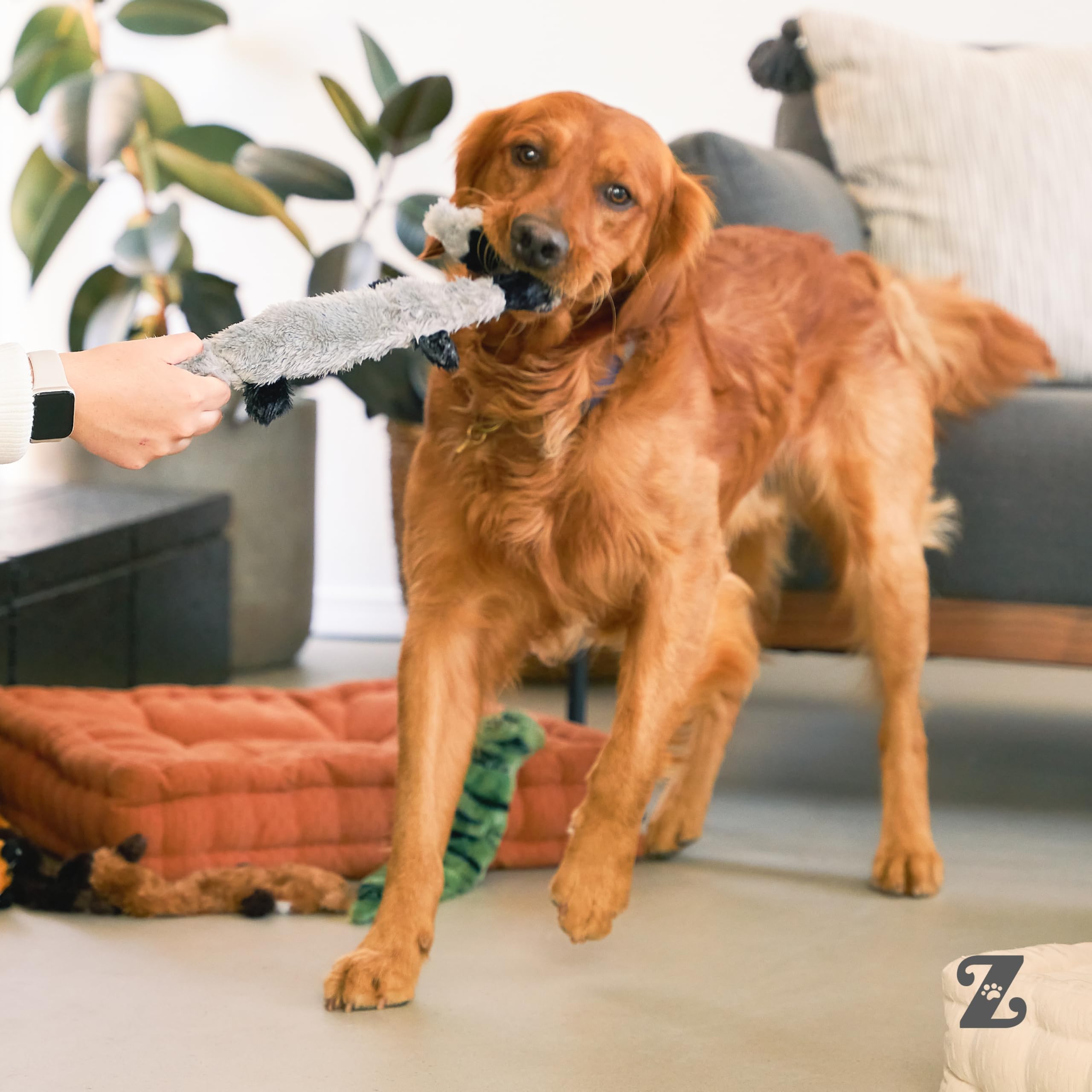 ZippyPaws - Skinny Peltz No Stuffing piszcząca pluszowa zabawka dla psa, lis, szop i wiewiórka - L