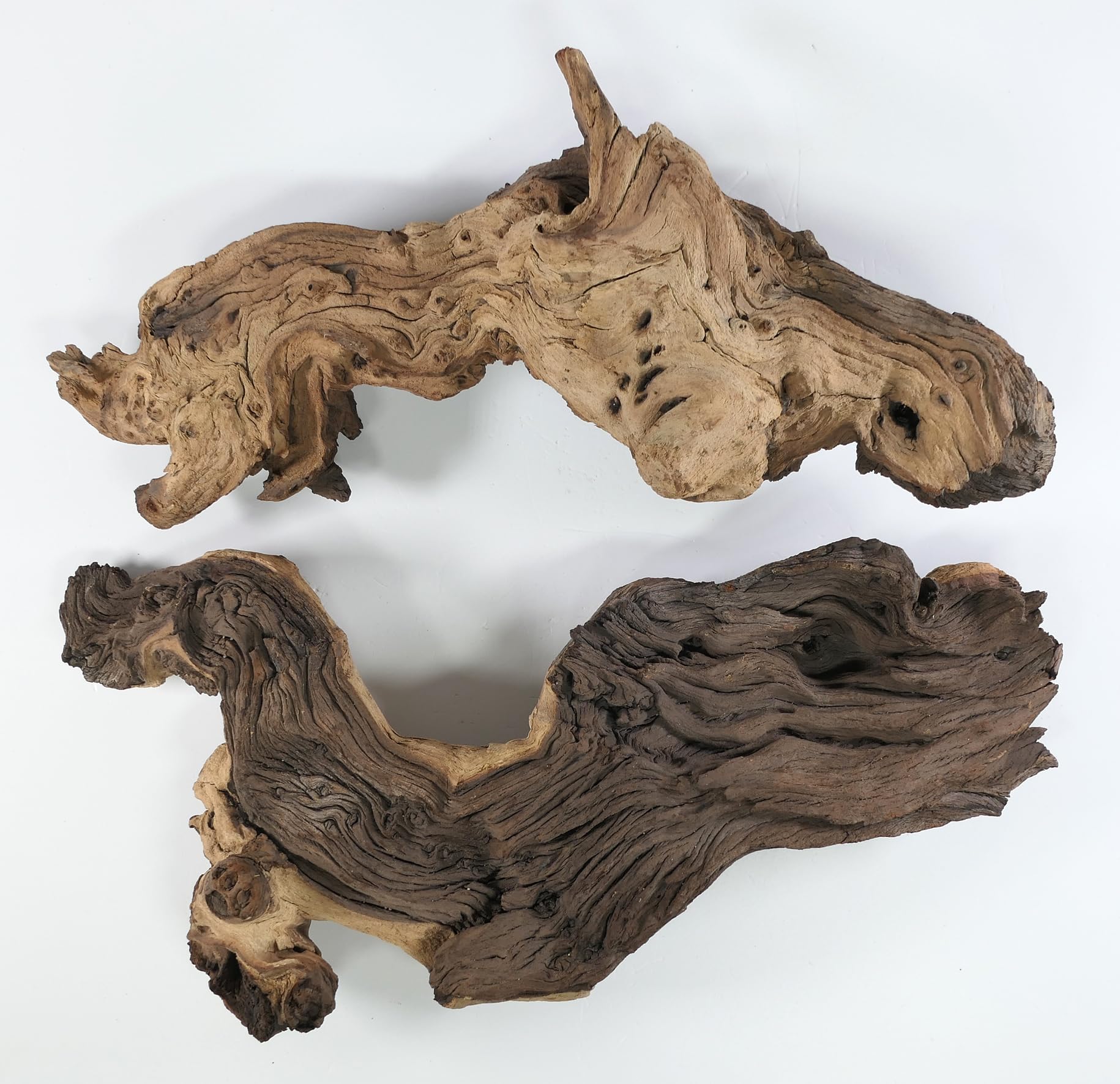 Mopani radice XL // radice in vero legno decorazione per acquario, gamberetti, pesci d'acquario Hard Scape 40 cm - 50 cm (Mangrove Savanna) Aquascaping
