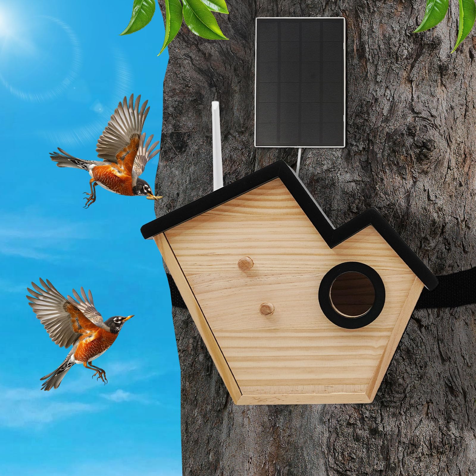 Smartes Vogelhaus mit Kamera & Solarmodul - HD Live-Stream, KI Vogelerkennung, IP65, aus Kiefernholz, für Garten & Balkon, inkl. Akku