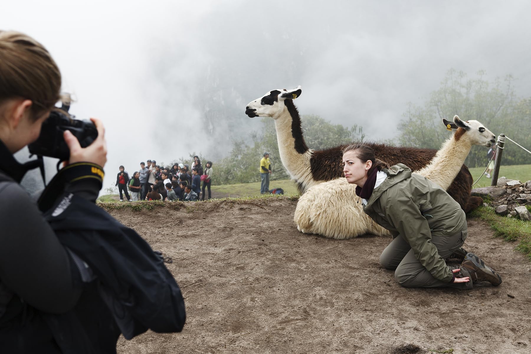 Martin Parr. Small World