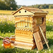 Flow Beehive Kit, Double Layer Hive with Automatic Honey Flow Frames