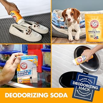 ARM & HAMMER Baking Soda, Multi-Purpose 100% Pure Sodium Bicarbonate Powder for Cooking, Baking, Cleaning, Laundry, Deodorizing, DIY & More, 1 Lb, 12 Pack