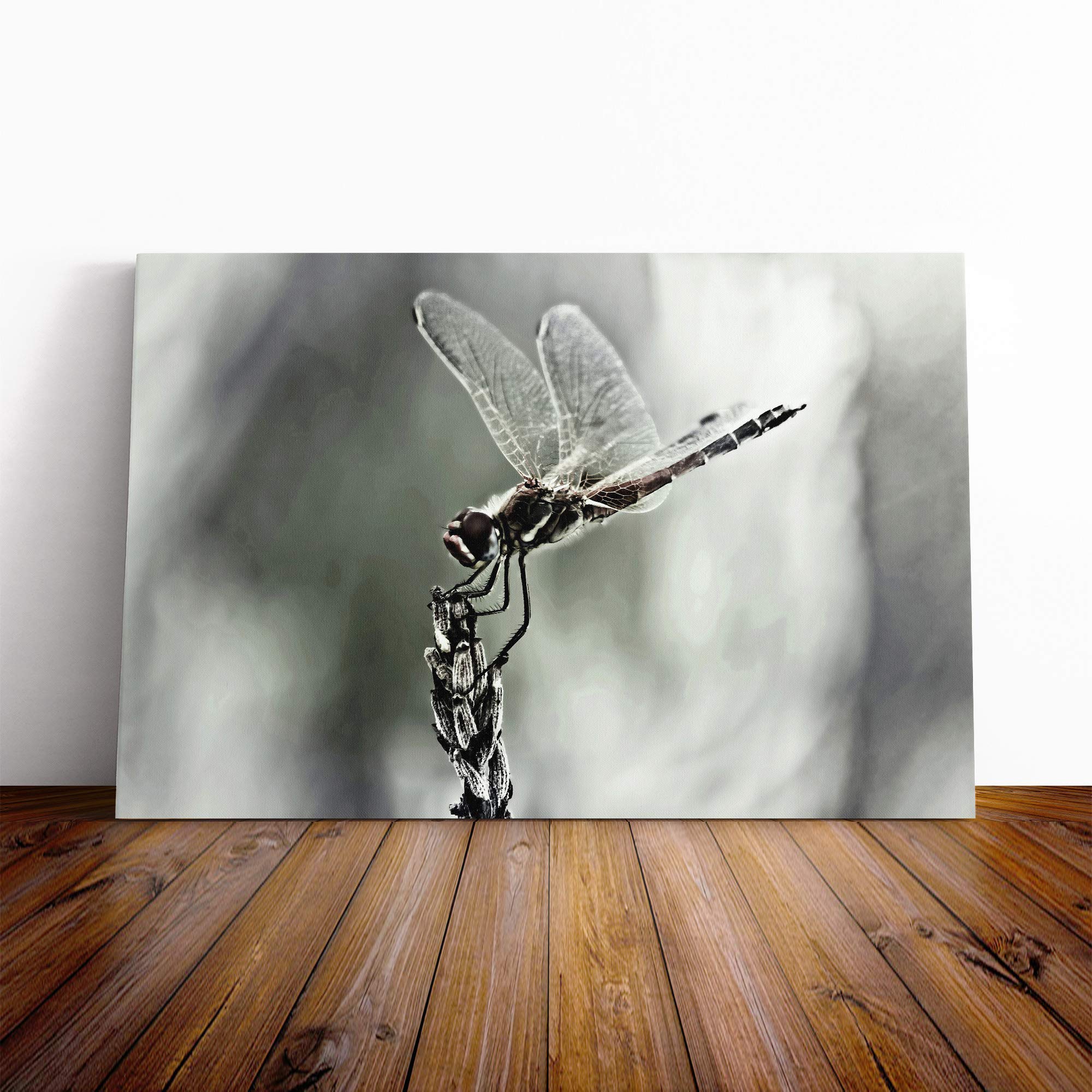 Dragonfly Insect (4) Canvas Print | Gallery Wrapped 30mm Frame Wall Art | 30x20 inches | Ready to Hang | Modern Animals Picture | Living Room Bedroom Lounge Office