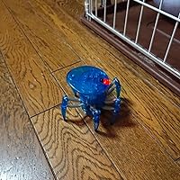 【超美品・完動品】Hexbug　バトルスパイダー　2個セット Amazon | HEXBUG ヘックスバグ 戦場付き バトルスパイダー (2個