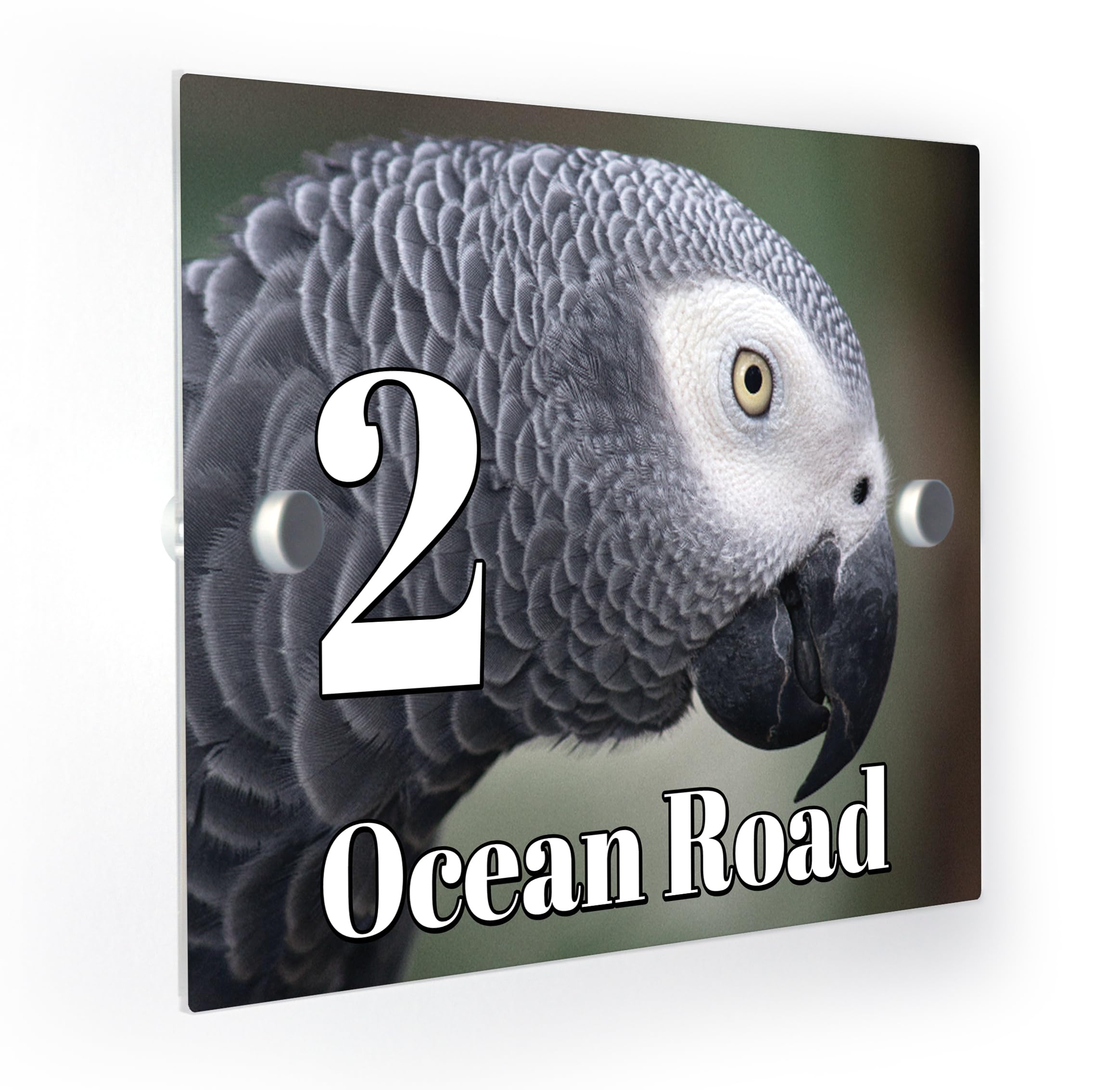 African Grey Parrot Personalised House Number Door Sign Plaque with Fittings