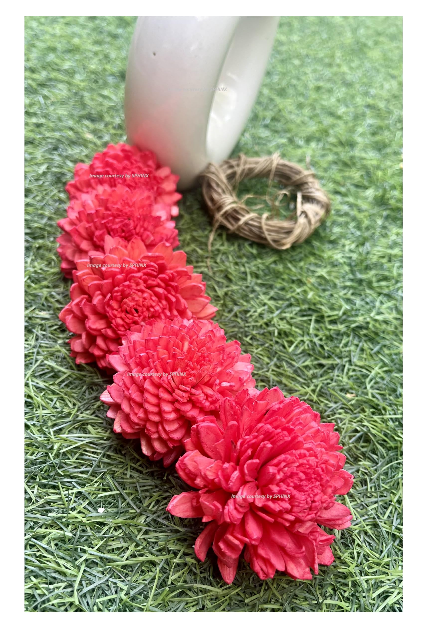 SPHINX Sola Zinnia/daisy Flowers for Festive decor, Christmas decorations Pooja decor Wedding Housewarming table decorations - (( Diameter approx 6 cms) - 20 Pieces, Red)