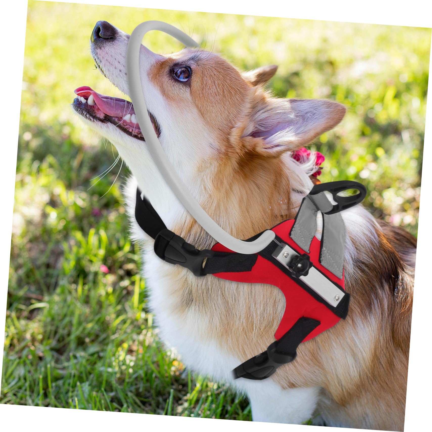 Abaodam Collier de Navigation pour Chien Aveugle Rouge Réglable | Protection les Obstacles, Design Confortable et Facile à Utiliser, pour Chien Malvoyant