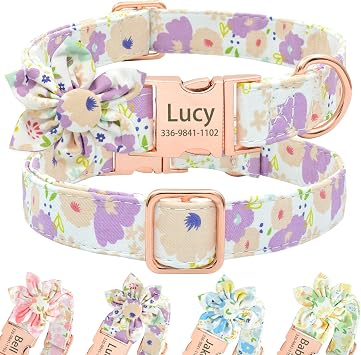 Personalized Cute Flower Girl Dog Collar with Name,Custom Floral Dog Collar with Engraved Gold Buckle for Female Dogs, Small, Medium, Large Dogs