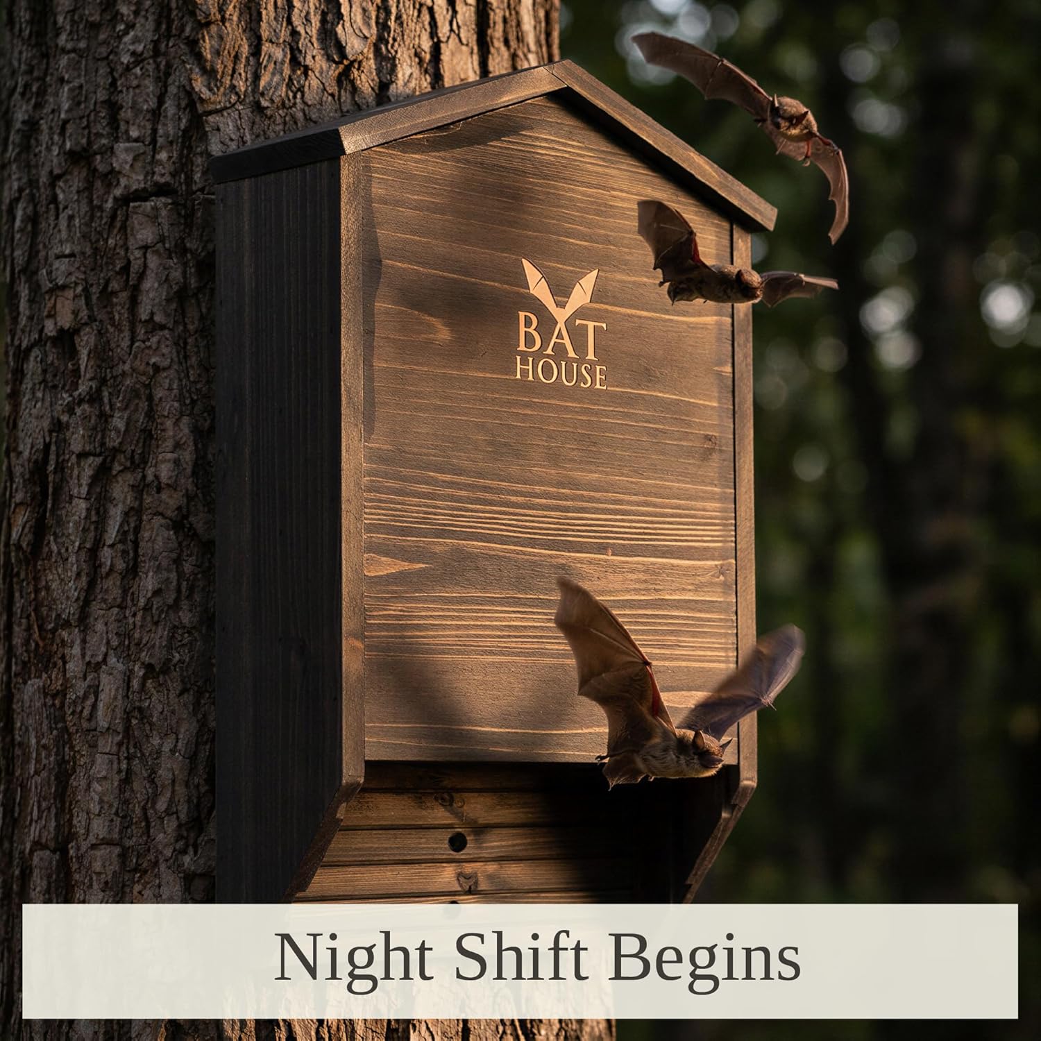 The Ultimate Wooden Bat House for Outdoors - Large Double Chamber Box image 2