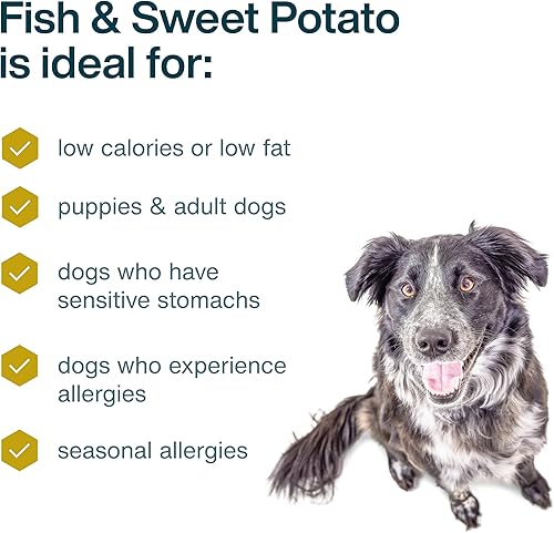 Miniatura 47 de JustFoodForDogs Alimento fresco congelado para perros, comida completa o alimento para perros, receta de comida para perros de grado humano