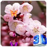Thanh_Lan