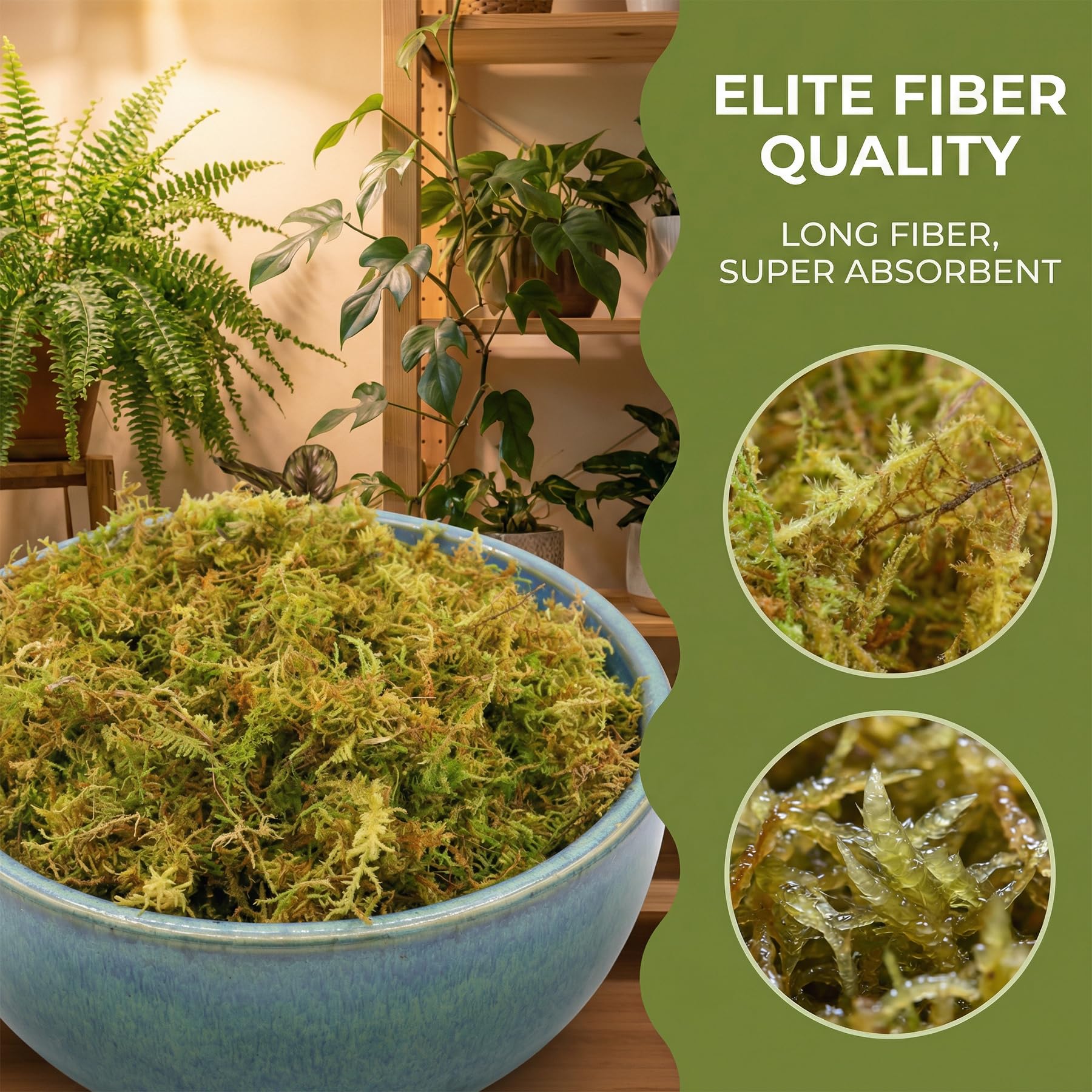 1,1 kg de mousse de sphaigne pour plantes, mousse d'orchidée à longues fibres pour plantes carnivores, terrariums et rempotage d'intérieur, briques de sphaigne compressées.