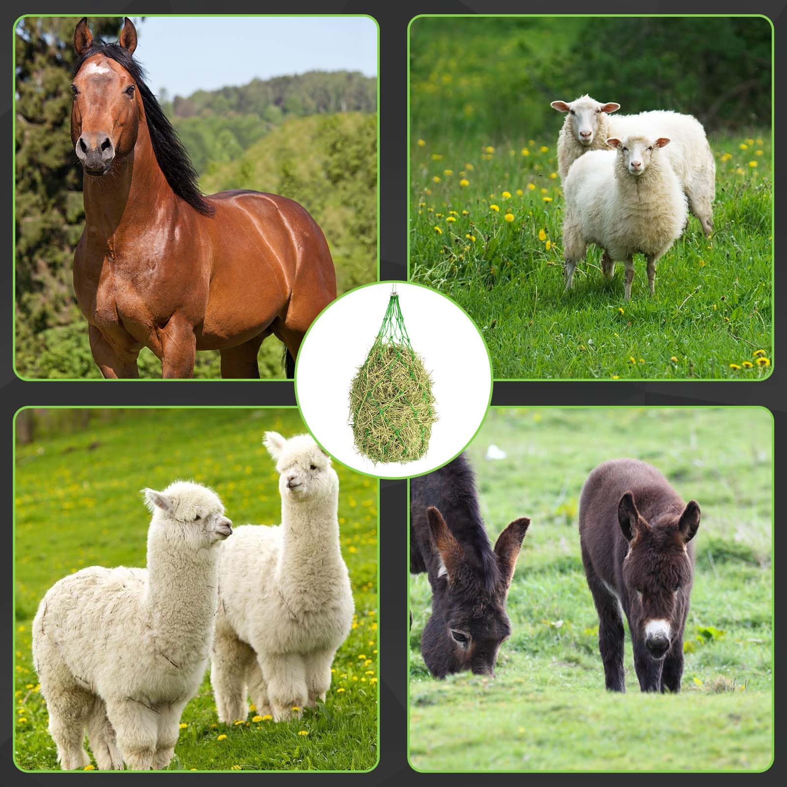 ZHYUAN Pack of 2 Hay Bag, Feeding Net, Horse Feeder Bag, Hay Net for Goats Horse Feeder Net - Image 4