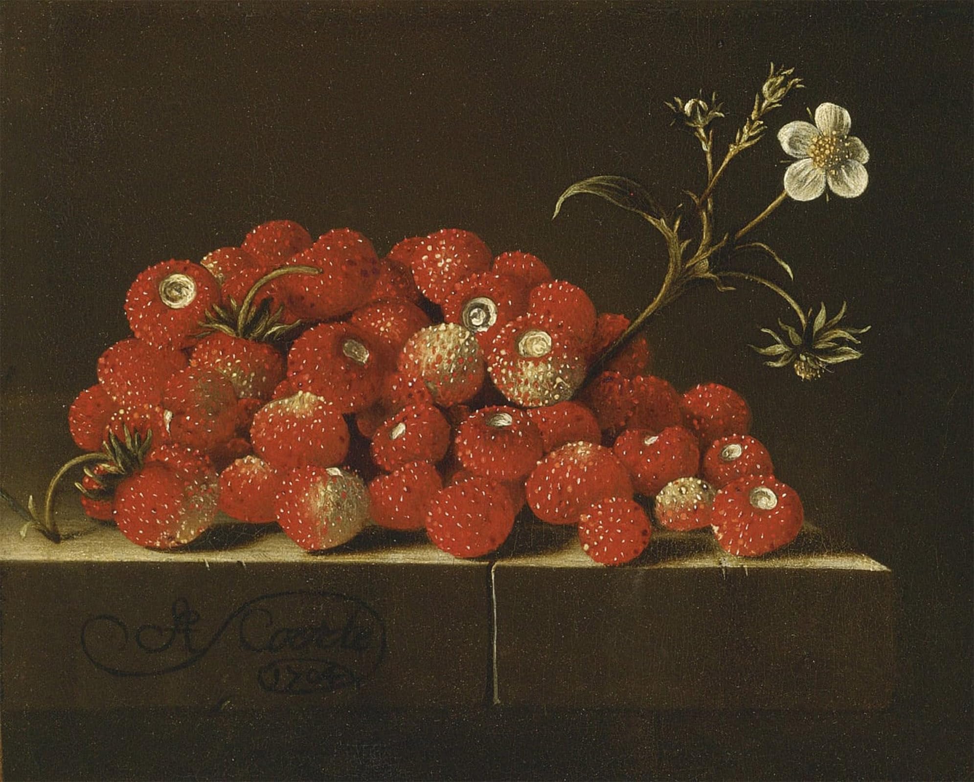 ARTXLXXBN Famous Prints Artwork Pictures Poster Painting Art Wild Strawberries on a by Adrian Coorte Artwork Landscape Pictures for Home Decor 60x90cm