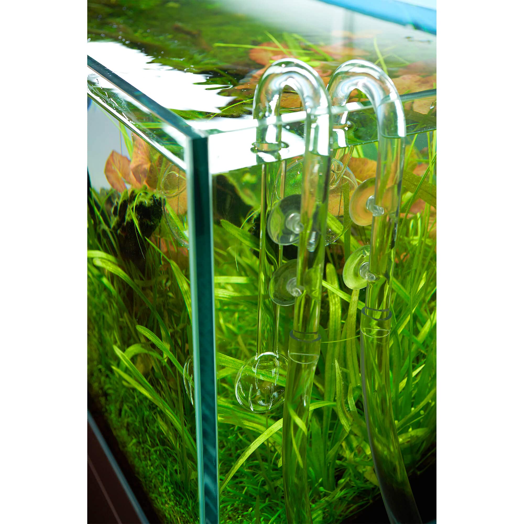 USCAPE Loop Pipe Set – Filtereinlauf & -auslauf Aus Glas, 17 Mm Für 16/22 Mm Schlauch, Sanfte Strömung Für Aquarium