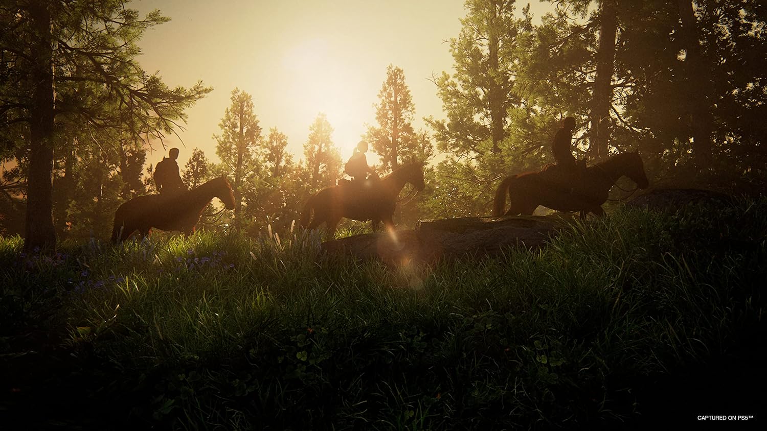Playstation The Last Of Us Parte I PS5 10