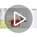 iBorn Window Hummingbird Feeder Mini Hummingbird Feeders for Outdoors, 3.4 OZ Humming Bird Feeder with Strong Suction Cup, 3 Feeding Ports & Stainless Steel Base, 3 Set