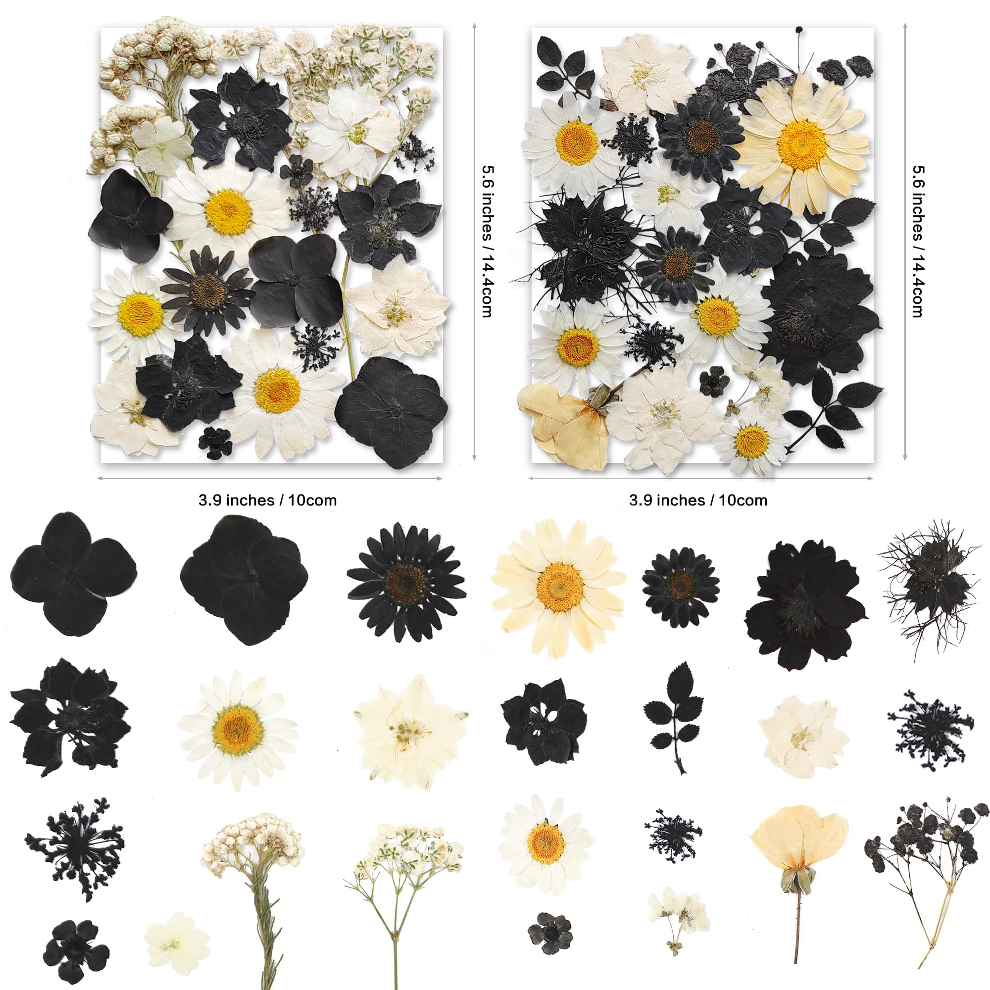YouthBro 140Stück Schwarz Weiß Getrocknete gepresste Blumen mit Schmetterling Aufkleber für Echte Natur Blumen Set für Kunstharz DIY Schmuck Kerze Seife Vase - Image 4