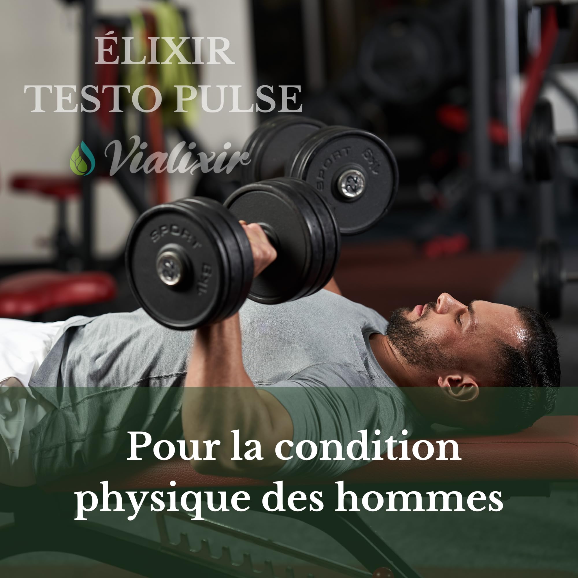 Formule Homme 60 gélules Performance Masculine Circulation Sanguine Endurance Energie avec Tribulus Maca Ginseng Ashwagandha Qualité Française Vialixir