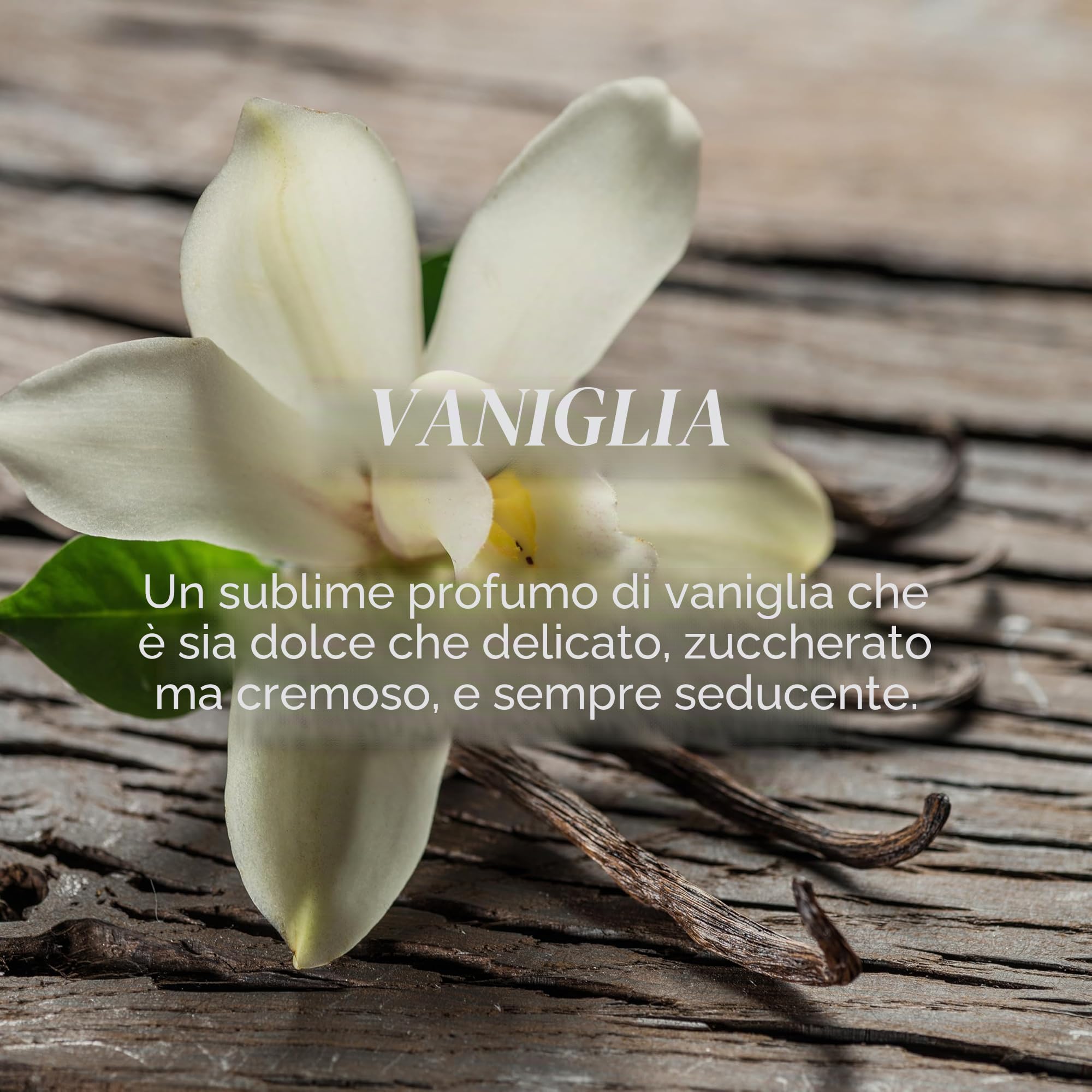 Yankee Candle Candela profumata in giara grande | Vaniglia | Durata Fino a 150 Ore | Regali per donne