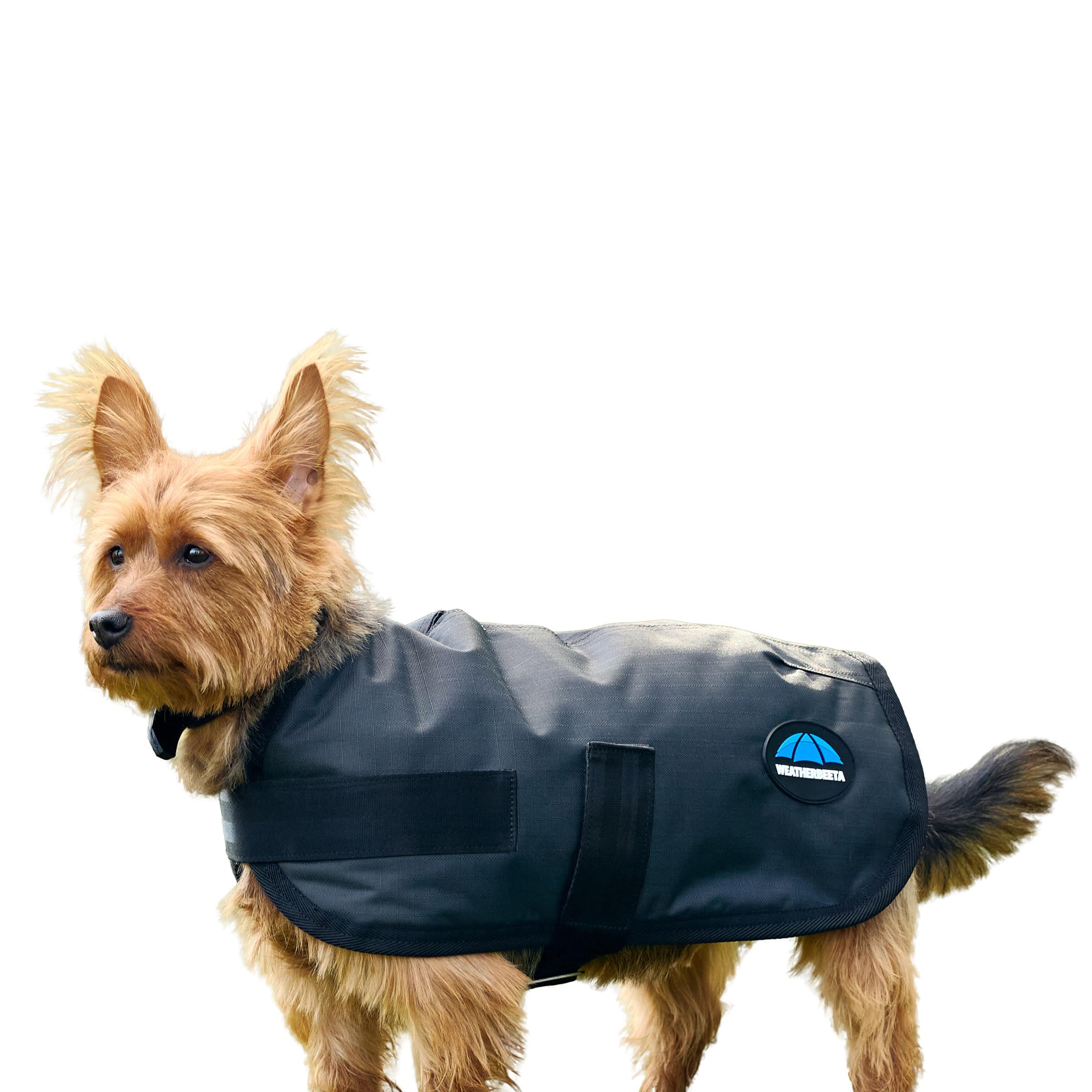 WeatherBeeta ComFiTec Classic Waterproof Dog Coat, Charcoal, 75cm
