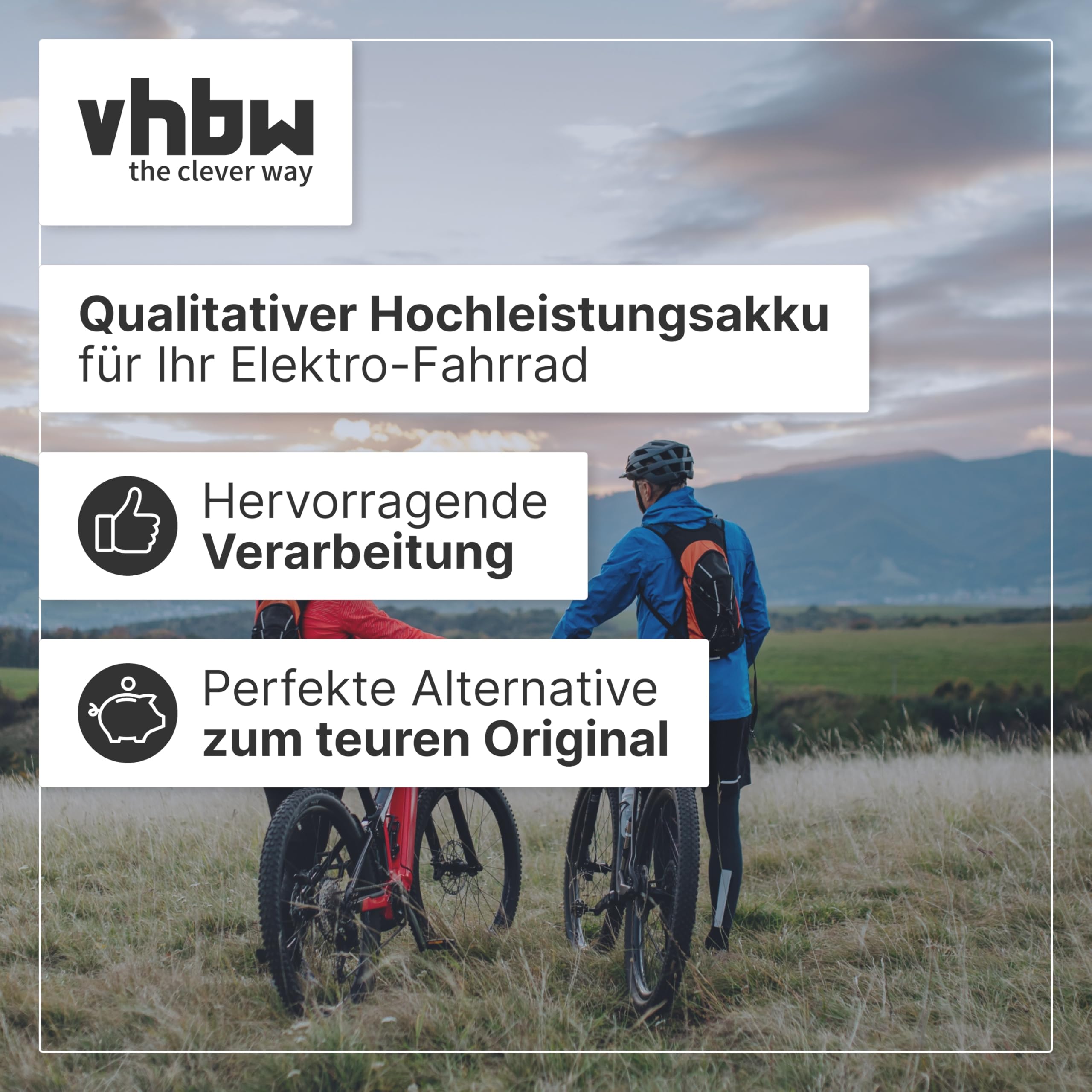 vhbw Zamiennik akumulatora do NKY265B2, NKY266B02, NKY266B2, NKY267B02, NKY267B2, NKY269B02 do roweru elektrycznego (13,2 Ah, 25,2 V, litowo-jonowy), szary