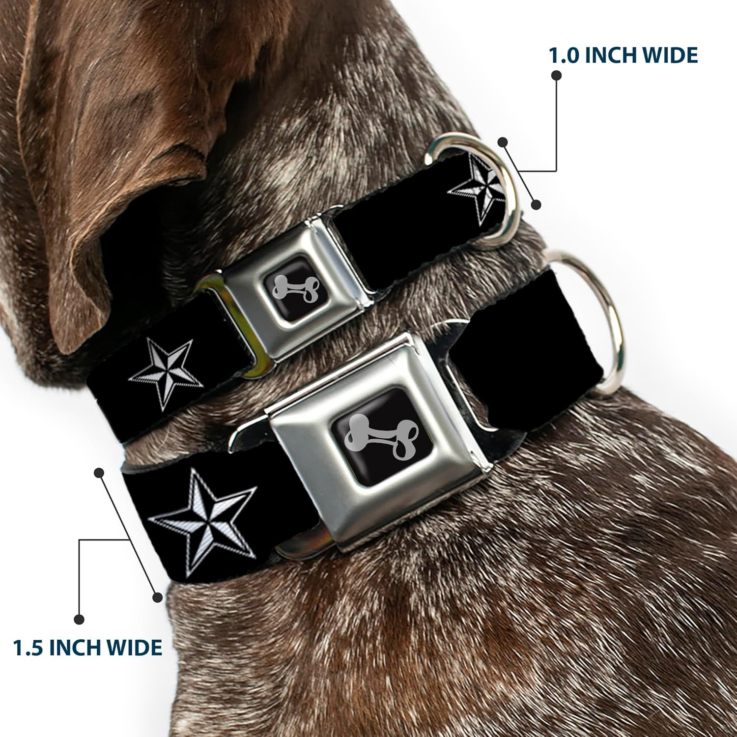 Dog Collar Seatbelt Buckle Nautical Star Black White 9 to 15 Inches 1.0 Inch Wide