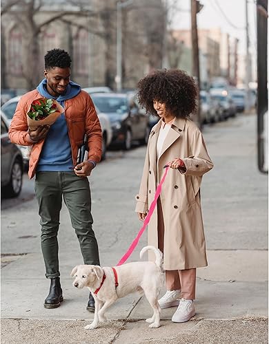Miniatura 6 de Mile High Life  Correa elástica para perro  Correa de entrenamiento de tracción suave  Textura suave y cómoda  3-5 pies  para perrosgatos de menos