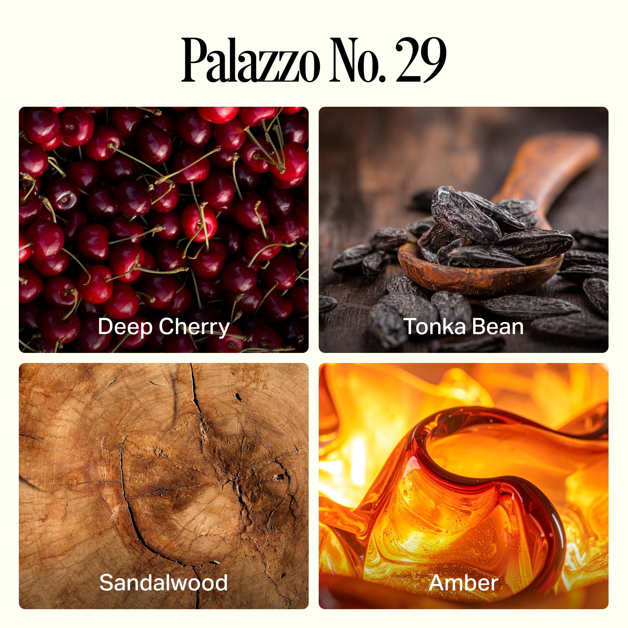 Amazon.com: Preston Lane Luxury 2-Wick Scented Candle, Palazzo No